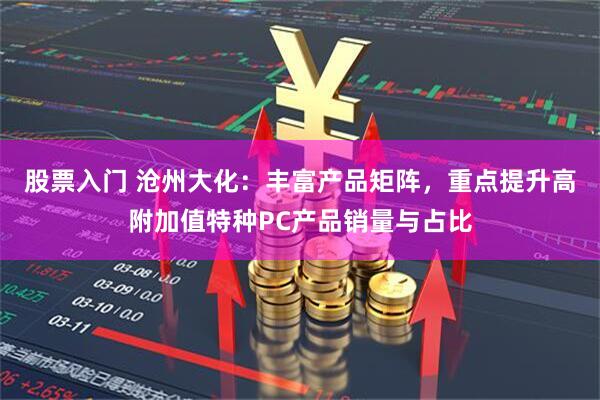 股票入门 沧州大化：丰富产品矩阵，重点提升高附加值特种PC产品销量与占比